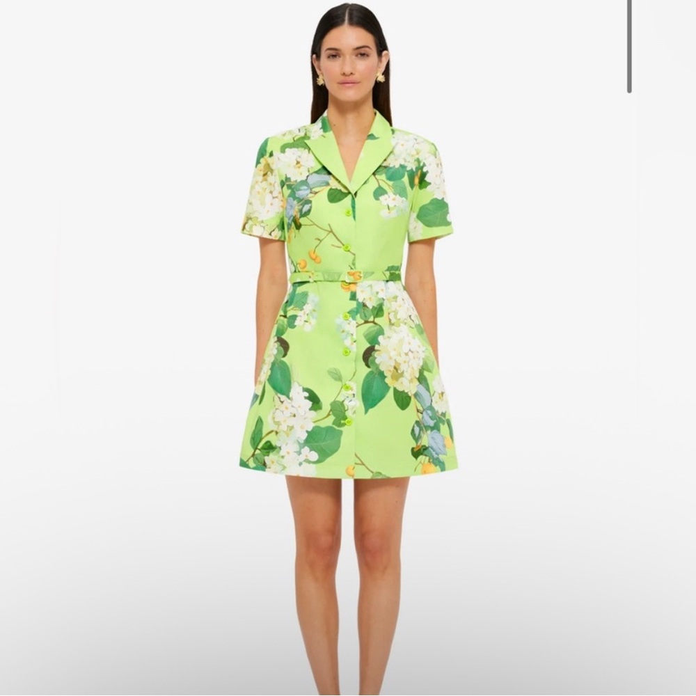 Leo Lin Floral Short Sleeve Mini Dress in Lime Green